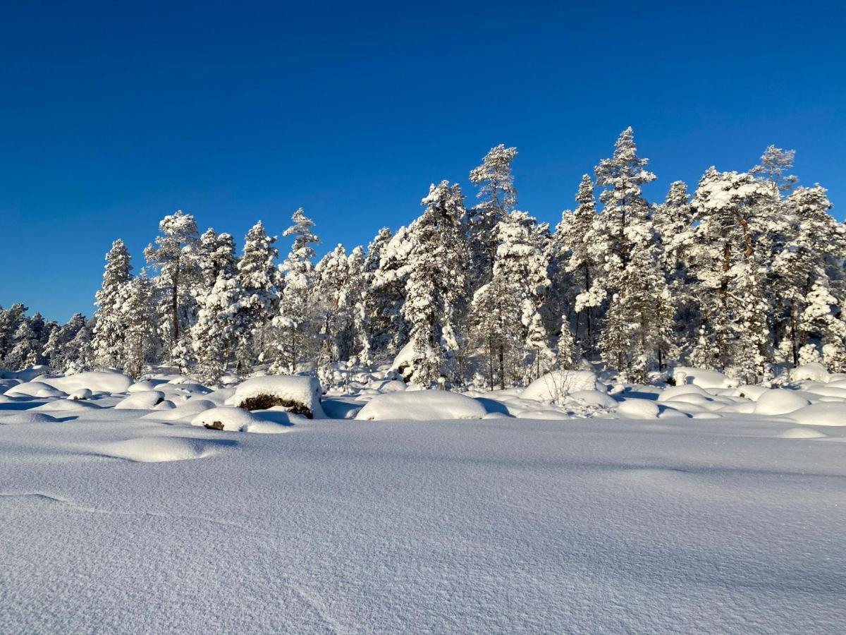 Norlight Cottages Ivalo - Tuli Buitenkant foto