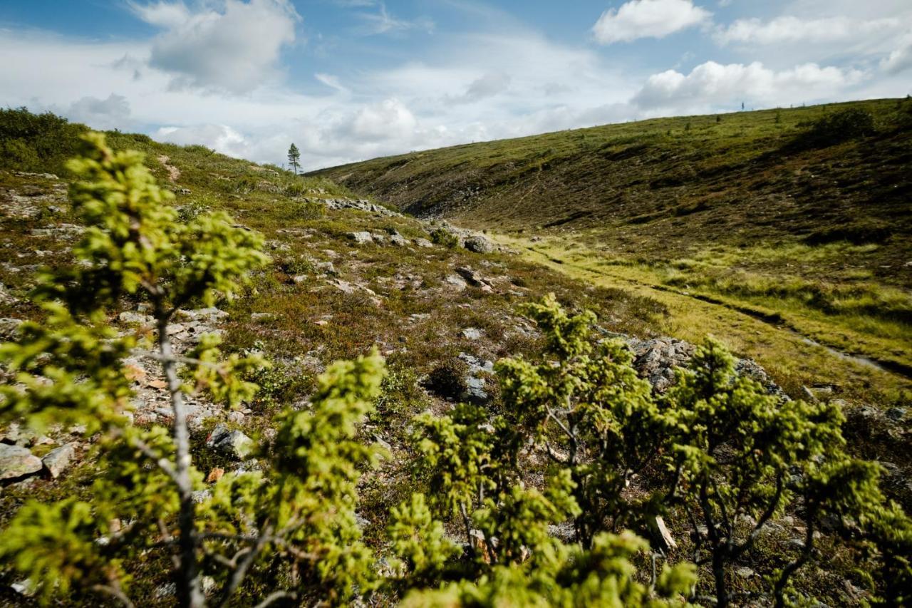 Norlight Cottages Ivalo - Tuli Buitenkant foto